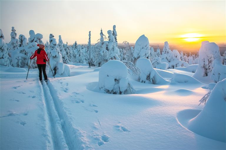 Erlebnisreise Lappland  ©Sitikka/istock